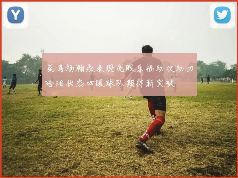 菜鸟杨瀚森表现亮眼乐福助攻助力哈珀状态回暖球队期待新突破