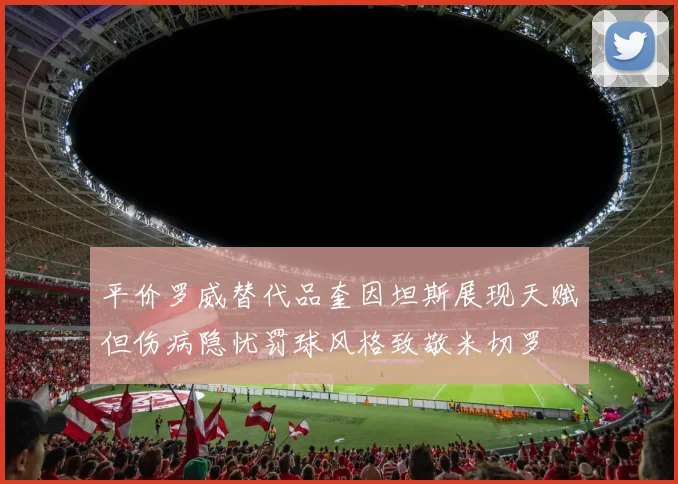 平价罗威替代品奎因坦斯展现天赋但伤病隐忧罚球风格致敬米切罗
